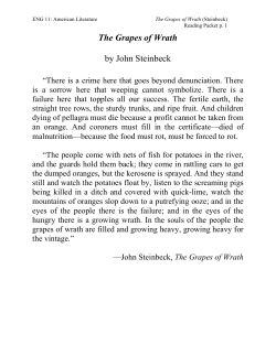 The Grapes of Wrath Reading Packet.