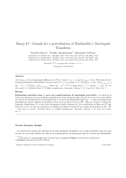 Sharp Lp&minus;bounds for a perturbation of Burkholder`s Martingale