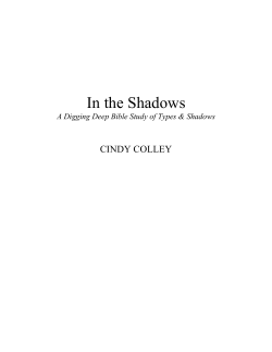 In the Shadows - The Colley House