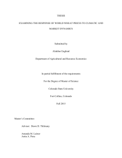 THESIS EXAMINING THE RESPONSE OF WORLD WHEAT PRICES