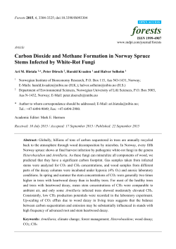 Carbon Dioxide and Methane Formation in Norway Spruce Stems