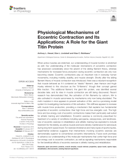 Physiological Mechanisms of Eccentric Contraction and Its
