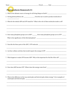 File - TiGreer Science