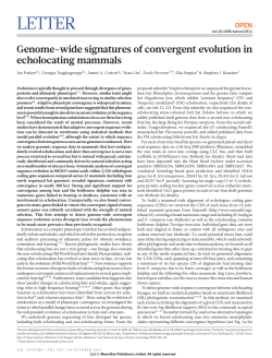 Genome-wide signatures of convergent evolution in echolocating