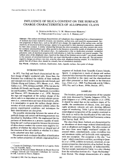 influence of silica content on the surface charge characteristics of