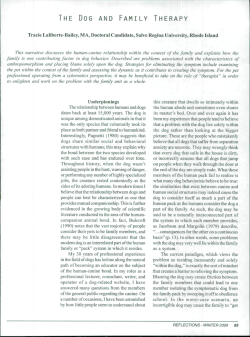 the dog and family therapy - Reflections: Narratives of Professional