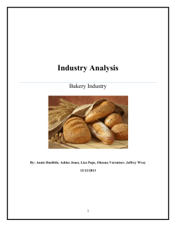 Industry Analysis