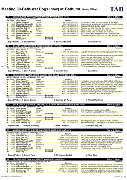 Racing PDF