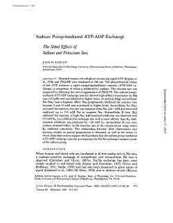 Sodium Pump-mediated ATP:ADP Exchange