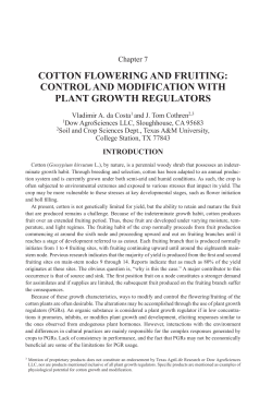 cotton flowering and fruiting