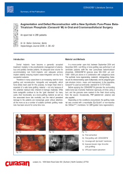 Augmentation and Defect Reconstruction with a New Synthetic Pure