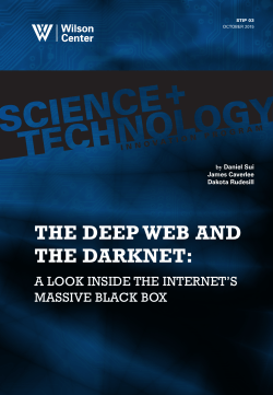 the deep web and the darknet