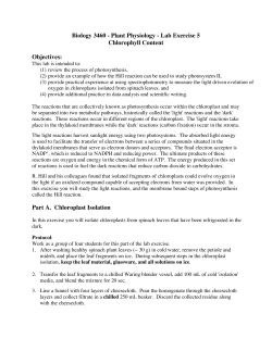 Biology 3460 - Plant Physiology - Lab Exercise 5 Chlorophyll