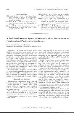 A Peripheral Nervous System in Nematoda with a