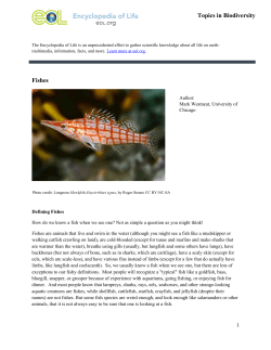 Fishes Topics in Biodiversity