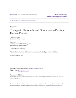 Transgenic Plants as Novel Bioreactors to Produce Human Protein