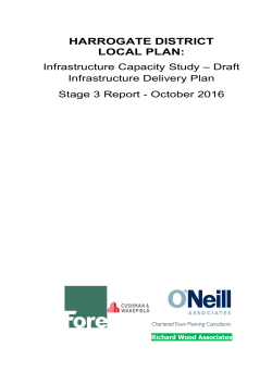 Infrastructure Capacity Study - Draft Infrastructure Delivery Plan