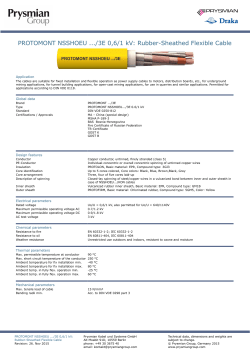 PROTOMONT NSSHOEU .../3E 0,6/1 kV: Rubber