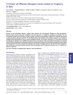 Article A Cluster of Olfactory Receptor Genes