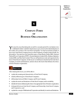 COMPANY FORM OF BUSINESS ORGANISATION
