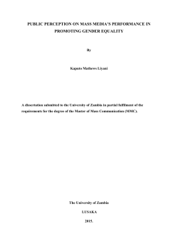 THE ROLE OF THE MASS MEDIA IN ACHIEVING GENDER EQUITY