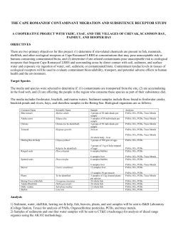 the cape romanzof contaminant migration and subsistence receptor