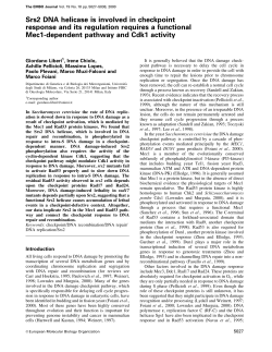 Srs2 DNA helicase is involved in checkpoint response and its