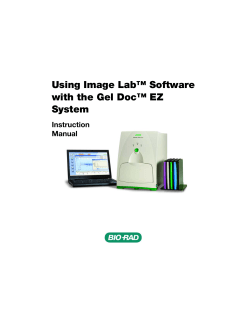 Gel Doc EZ Imaging System