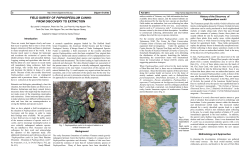field survey of paphiopedilum canhii: from discovery to extinction