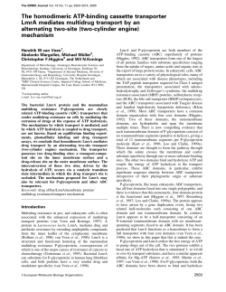 The homodimeric ATPbinding cassette transporter LmrA mediates