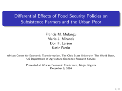 Differential Effects of Food Security Policies on Subsistence Farmers