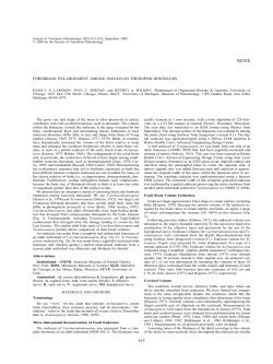 Forebrain enlargement among nonavian dinosaurs.