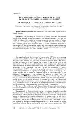 FUNCTIONALIZATION OF CARBON NANOTUBES BY