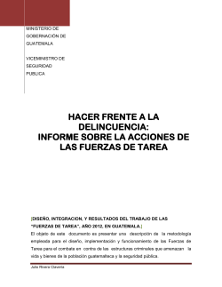 informe ejecutivo sobre la conformaci&oacute;n y funcionalidad de las