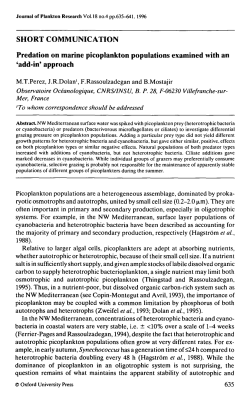 Predation on marine picoplankton populations examined with an