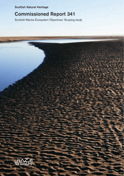 Scottish Marine Ecosystem Objectives