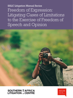 Freedom of Expression: Litigating Cases of Limitations to the