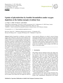 Uptake of phytodetritus by benthic foraminifera
