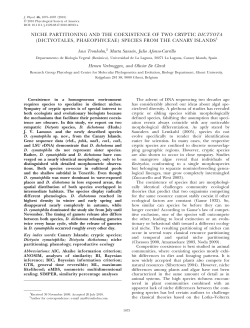niche partitioning and the coexistence of two cryptic dictyota