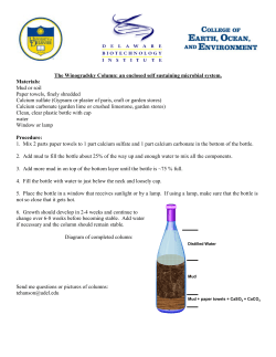 The Winogradsky Column: an enclosed self sustaining microbial