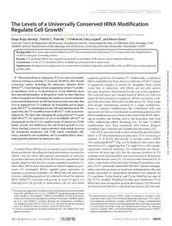 The Levels of a Universally Conserved tRNA Modification Regulate