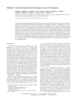 Diffusion of Lipid-like Single-Molecule Fluorophores in the Cell