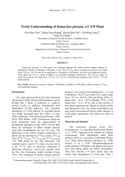 Newly Understanding of Kalanchoe pinnata, a CAM Plant