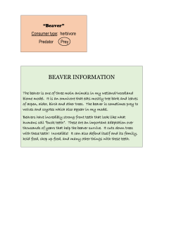 beaver labels