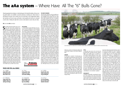 The aAa system &ndash; Where Have All The &ldquo;6&rdquo; Bulls Gone?