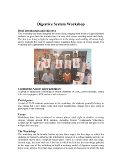 Digestive System Workshop