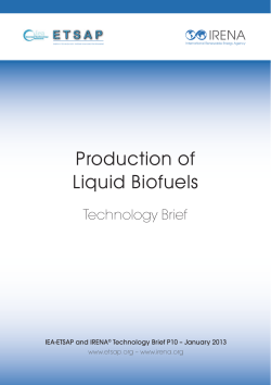 IRENA-IEA-ETSAP Technology Brief 10: Liquid Biofuel Production
