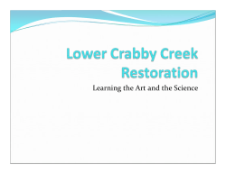 Annotated Lower Crabby Creek Restoration