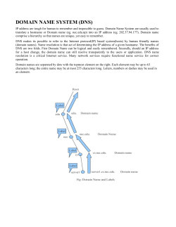 DOMAIN NAME SYSTEM (DNS)