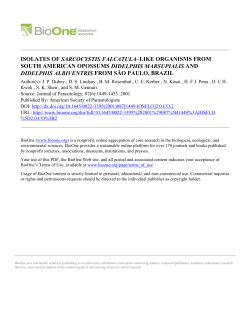 isolates of sarcocystis falcatula&ndash;like organisms from